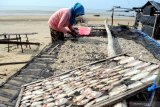 Warga menjemur ikan di Pantai Jumiang, Pamekasan, Jawa Timur, Kamis (17/12/2020). Sejak tiga pekan lalu produksi ikan kering di daerah itu turun dari 1.5 ton per hari menjadi hanya 50 kg per hari karena nelayan enggan melaut akibat musim angin barat.  Antara Jatim/Saiful Bahri/mas.