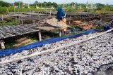 Warga menjemur ikan di Pantai Jumiang, Pamekasan, Jawa Timur, Kamis (17/12/2020). Sejak tiga pekan lalu produksi ikan kering di daerah itu turun dari 1.5 ton per hari menjadi hanya 50 kg per hari karena nelayan enggan melaut akibat musim angin barat. Antara Jatim/Saiful Bahri/mas.