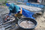 Warga menjemur ikan di Pantai Jumiang, Pamekasan, Jawa Timur, Kamis (17/12/2020). Sejak tiga pekan lalu produksi ikan kering di daerah itu turun dari 1.5 ton per hari menjadi hanya 50 kg per hari karena nelayan enggan melaut akibat musim angin barat.  Antara Jatim/Saiful Bahri/mas.