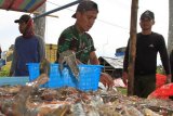 Sejumlah pekerja menyortir udang vaname binaan TNI AD di area tambak udang Desa Suak Seukee, Kecamatan Samatiga, Aceh Barat, Aceh, Kamis (17/12/2020). Para petani tambak udang vaname binaan Komando Resor Militer 012/Teuku Umar bersama Komando Distrik Militer 0105 Aceh Barat mampu memproduksi 28 ton udang dalam sekali panen yang kemudian di pasarkan ke beberapa Negara ASEAN dengan harga jual berkisar antara Rp.70.000 sampai Rp.120.000 per kilogram tergantung ukuran udang. ANTARA FOTO/Syifa Yulinnas/hp.