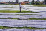 Realisasi anggaran pemulihan ekonomi nasional
