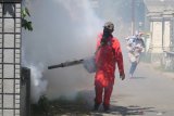 Petugas Dinas Kesehatan melakukan pengasapan (fogging) di Kelurahan Ketami, Kota Kediri, Jawa Timur, Rabu (23/12/2020). Pengasapan di daerah endemik wabah deman berdarah tersebut guna memutus mata rantai perkembangbiakan nyamuk sekaligus mencegah penyebaran virus dengue ke daerah sekitar saat musim hujan. Antara Jatim/Prasetia Fauzani/Um