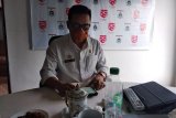 Pemprov Sulbar larang ASN bepergian saat libur Natal dan Tahun Baru 2021