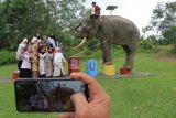 Sejumlah pengunjung berfoto dengan gajah jinak Sumatera yang ditempatkan di Conservation Response Unit (CRU) Trumon, Aceh Selatan, Aceh, Kamis (24/12/2020). Balai Konservasi Sumber Daya Alam (BKSDA) Aceh memiliki 35 ekor gajah jinak yang ditempatkan di tujuh CRU dan Pusat Latihan Gajah (PLG) guna untuk mitigasi konflik ganguan gajah liar sekaligus menjadi tempat wisata yang mengedukasi masyarakat untuk mengenal lebih dekat kehidupan gajah. ANTARA FOTO/Syifa Yulinnas/aww.