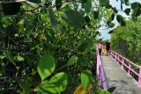 Warga menikmati suasana Ekowisata hutan mangrove saat mengisi libur Natal di Desa Lembung, Pamekasan, Jawa Timur, Jumat (25/12/2020). Destinasi wisata yang menyajikan berbagai jenis pohon mangrove itu, menjadi daya tarik tersendiri bagi warga guna mengisi libur nasional dan keagamaan. Antara Jatim/Saiful Bahri/mas.