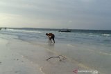 Objek wisata pantai sepi menyusul Surat Edaran Penjabat Wali Kota