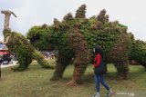 Pengunjung melintas di depan dekorasi bunga berbentuk dinosaurus di wahana wisata Batu Love Garden, Batu, Jawa Timur, Sabtu (26/12/2020). Wahana wisata berupa taman bunga seluas tujuh hektare tersebut memadukan konsep inovasi taman dinding atau vertikal garden dengan menonjolkan keindahan bunga sebagai daya tarik wisata. Antara Jatim/Ari Bowo Sucipto/mas.