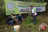 Jejak Indonesia lestarikan  pohon langka damar mata kucing