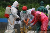 Petugas berpakaian apd menyemprotkan disinfektan kepada rekannya usai memakamkan jenazah pasien COVID-19 di Tempat Pemakaman Umum (TPU) Kiduldalem, Malang, Jawa Timur,  Jumat (1/1/2021). Pada hari pertama di tahun 2021, Unit Pelaksana Teknis (UPT) Pengelola Pemakaman Umum Dinas Lingkungan Hidup setempat memakamkan sedikitnya 12 pasien COVID-19 yang meninggal dunia. Antara Jatim/Ari Bowo Sucipto/zk