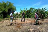 Babinsa Koramil Warbah bantu bangun pondasi rumah warga binaan