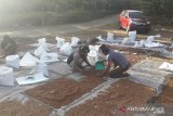 Petani tetap produksi pangan dan tangguh di tengah krisis kesehatan