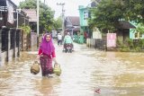 Warga melintasi banjir di Desa Dalam Pagar Ulu, Kabupaten Banjar, Kalimantan Selatan, Rabu (6/1/2021). Menurut Badan Penanggulangan Bencana Daerah (BPBD) Kabupaten Banjar, banjir setinggi lima hingga satu meter yang melanda pemukiman di sejumlah desa di Kabupaten Banjar tersebut dipicu oleh hujan dengan intensitas tinggi sehingga menyebabkan debit air sungai Martapura meluap. Foto Antaranews Kalsel/Bayu Pratama S.