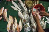 Pedagang melayani pembeli ikan segar di pasar tradisional Lhokseumawe, Aceh, Selasa (5/1/2021). Harga berbagai jenis ikan segar melonjak 50 hingga 80 persen dari biasanya yang disebabkan stok ikan tangkapan nelayan minim selama memasuki musim hujan. ANTARA FOTO/Rahmad/rwa.