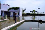 Banjir di Kudus mulai surut
