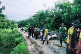 Satgas Pamtas Yonif MR 413 Kostrad bangun jalan di perbatasan RI-PNG