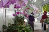 Pembudidaya anggrek Wahyu Niken Febrianti (kiri) menunjukkan tanaman angrek kepada pengunjung di kebunnya di Kota Madiun, Jawa Timur, Sabtu (9/1/2021). Berbagai jenis anggrek yang dibudidayakan seperti phalaenopsis (anggrek bulan), dendrobium keriting, dendrobium bunga bulat, cattleya, vanda, grammaphylum, oncydium dijual dengan harga antara Rp20 ribu hingga Rp800 ribu per tanaman. Antara Jatim/Siswowidodo/ZK