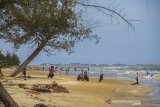 Sejumlah pengunjung menikmati wisata pantai angsana di Kabupaten Tanah Bumbu, Kalimantan Selatan, Minggu (10/1/2021). Pantai Angsana dengan jarak tempuh sekitar lima jam perjalanan darat dari Kota Banjarmasin merupakan salah satu obyek wisata andalan dan telah dikelola secara baik oleh Pemkab Tanah Bumbu sejak beberapa tahun terakhir ini. Foto Antaranews Kalsel/Bayu Pratama S.