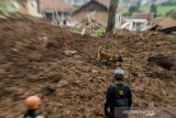 Petugas SAR Dog Jakarta Rescue melakukan pencarian korban tertimbun longsor di Cimanggung, Kabupaten Sumedang, Jawa Barat, Minggu (10/1/2021). Tanah longsor yang diduga terjadi akibat intensitas curah hujan yang tinggi pada Sabtu (9/1) sore tersebut mengakibatkan 12 orang korban meninggal dua dan belasan orang diperkirakan masih tertimbun serta 14 bangunan rusak berat. ANTARA JABAR/Novrian Arbi/agr