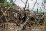 Petugas SAR gabungan melakukan pencarian korban tertimbun longsor di Cimanggung, Kabupaten Sumedang, Jawa Barat, Minggu (10/1/2021). Tanah longsor yang diduga terjadi akibat intensitas curah hujan yang tinggi pada Sabtu (9/1) sore tersebut mengakibatkan 12 orang korban meninggal dua dan belasan orang diperkirakan masih tertimbun serta 14 bangunan rusak berat. ANTARA JABAR/Novrian Arbi/agr
