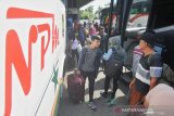 Kecelakaan pesawat tak pengaruhi jumlah penumpang bus AKAP