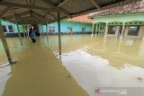 Seorang guru melihat kondisi banjir rob yang merendam bangunan SDN Eretan Wetan 1 di Kandanghaur, Indramayu, Jawa Barat, Rabu (13/1/2021). Banjir rob akibat pasang air laut itu merendam ratusan rumah warga, bangunan sekolah dan mushola di kecamatan itu. ANTARA JABAR/Dedhez Anggara/agr