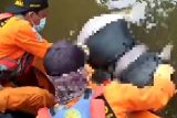 Tim SAR gabungan temukan mayat Ibrahim yang jatuh di sungai Digoel