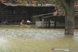 Warga berada di sekitar rumahnya yang terendam banjir di desa Kenanga, Indramayu, Jawa Barat, Jumat (15/1/2021). Banjir akibat luapan sungai Cimanuk tersebut merendam puluhan rumah di desa tersebut. ANTARA JABAR/Dedhez Anggara/agr