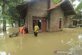 Warga berada di sekitar rumahnya yang terendam banjir di desa Kenanga, Indramayu, Jawa Barat, Jumat (15/1/2021). Banjir akibat luapan sungai Cimanuk tersebut merendam puluhan rumah di desa tersebut. ANTARA JABAR/Dedhez Anggara/agr