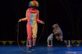 Pemain sirkus bermain bersama anjing saat pertunjukan sirkus di Interactive Living Museum (ILM) di kawasan Taman Safari Prigen, Pasuruan, Jawa Timur, Jumat (15/1/2021). ILM merupakan Oriental Circus Indonesia yang telah menjadi sebuah wahana museum dan menjadi museum sirkus pertama di Indonesia. Antara Jatim/Zabur Karuru