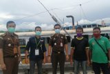 KLHK serahkan tersangka perdagangan kayu ilegal asal Ambon ke Kejari Sikka