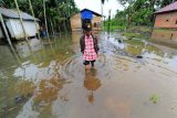 Warga berjalan melintasi kawasan permukiman yang terendam banjir luapan Sungai Batanghari di Siau Dalam, Tanjungjabung Timur, Jambi, Kamis (14/1/2021). Warga setempat mengatakan beberapa bangunan tempat penyimpanan buah, permukiman dan kawasan perkebunan di daerah itu terendam banjir luapan Sungai Batanghari dengan ketinggian hingga lutut orang dewasa dan terus meninggi dalam tiga hari terakhir. ANTARA FOTO/Wahdi Septiawan/wsj.