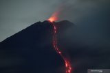 Gunung Semeru mengeluarkan lava pijar terlihat dari Desa Oro Oro Ombo, Lumajang, Jawa Timur, Minggu (17/1/2021). Gunung Semeru kembali erupsi dan mengeluarkan awan panas guguran sejauh 4,5 kilometer pada Sabtu (16/1) dan dihimbau agar warga di sekitar gunung tersebut agar waspada akan potensi bencana yang ditimbulkan. Antara Jatim/Zabur Karuru