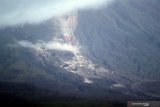 Gunung Semeru mengeluarkan lava pijar terlihat dari Desa Oro Oro Ombo, Lumajang, Jawa Timur, Minggu (17/1/2021). Gunung Semeru kembali erupsi dan mengeluarkan awan panas guguran sejauh 4,5 kilometer pada Sabtu (16/1) dan dihimbau agar warga di sekitar gunung tersebut agar waspada akan potensi bencana yang ditimbulkan. Antara Jatim/Zabur Karuru