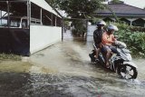 Hari keempat banjir di Banjarmasin tinggi air belum surut