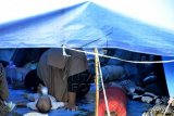 Pengungsi korban gempa bumi di Mamuju