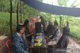 Petani Batang diajak tanam anggur