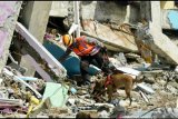 Disdikbud Sulbar: 59 sekolah di tiga kabupaten rusak terdampak gempa magnitudo 6,2