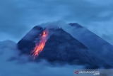 Gunung Merapi mengeluarkan lava pijar yang terlihat dari Wonorejo, Hargobinangun, Pakem, Sleman, D.I Yogyakarta, Senin (18/1/2021). BPPTKG D.I Yogyakarta mencatat pada periode pengamatan Senin (18/1) pukul 00:00-06:00 WIB secara visual, Gunung Merapi mengeluarkan awan panas sebanyak satu kali dengan jarak luncur 1.000 meter, tinggi kolom 50 meter ke Tenggara arah Barat Daya serta guguran lava pijar sebanyak enam kali dengan jarak luncur maksimum 600 meter ke Barat Daya. ANTARA FOTO/Andreas Fitri Atmoko/hp. 