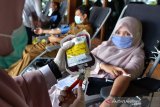 Sejulah Aparatur Sipil Negara (ASN) pemerintah Aceh mendonorkan darahnya di Banda Aceh, Aceh, Selasa (19/1/2021). Gerakkan donor darah ASN di tengah pandemi COVID-19 itu guna memenuhi kebutuhan darah di provinsi Aceh. Antara Aceh/Ampelsa.