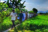 Alih fungsi lahan di Kota Mataram berpotensi sasar LP2B