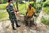 Babinsa Koramil Arso lakukan komunikasi sosial dengan ondoafi