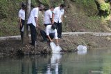 Wali Kota Kediri Abdullah Abu Bakar (kanan) menebar benih ikan koi di Sumber Bulus, Kota Kediri, Jawa Timur, Rabu (20/1/2021). Penebaran benih ikat tersebut sebagai upaya melestarikan ekosistem sumber air sekaligus membangun kawasan wisata ramah lingkungan. Antara Jatim/Prasetia Fauzani/ZK