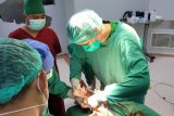 RS Regional Sulawesi Barat operasi pasien COVID-19 korban gempa