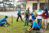 Ini alasan Disdagperin Kotim tanam ratusan kanas gantang di lingkungan kantor