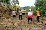 Warga terdampak gempa Sulbar diimbau tanam pohon cegah longsor