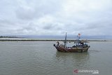 Nelayan cantrang memasuki muara usai melaut di Juntinyuat, Indramayu, Jawa Barat, Minggu (24/1/2021). Nelayan cantrang di daerah tersebut mulai melaut setelah Kementerian Kelautan dan Perikanan (KKP) memperbolehkan penggunaan Alat Tangkap Ikan (API) jenis cantrang. ANTARA JABAR/Dedhez Anggara/agr