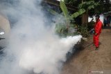 Petugas Dinas Kesehatan melakukan pengasapan (fogging) di Kelurahan Ketami, Kota Kediri, Jawa Timur, Senin (25/1/2020). Pengasapan di daerah endemik wabah deman berdarah tersebut guna mengendalikan perkembangbiakan nyamuk penyebaran virus dengue sekaligus sebagai sarana edukasi kepada masyarakat pentingnya menjaga kebersihan lingkungan. Antara Jatim/Prasetia Fauzani/ZK