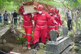 Enam relawan PMI memanggul peti jenazah pasien COVID-19 untuk dimakamkan di Tempat Pemakaman Umum Desa Plosokandang, Tulungagung, Jawa Timur, Ahad (24/1/2021). Selama proses pemakaman itu relawan PMI hanya mengenakan APD level 1 dan bukan APD level 3 (baju hazmat) dengan maksud mengedukasi masyarakat agar tidak phobia (takut berlebihan) dalam memakamkan jenazah pasien COVID-19 yang telah disterilkan, asal tetap mengacu protokol kesehatan. Antara Jatim/Destyan Sujarwoko/ZK