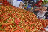 Disperindag minta petani di NTB ikut cermati stok cabai daerah