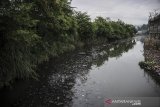 Kondisi muara pertemuan antara Sungai Citepus dan Sungai Citarum yang tercemar limbah di Cangkuang, Kabupaten Bandung, Jawa Barat, Rabu (27/1/2021). Warga setempat mengeluhkan air di muara Sungai Citarum yang masih tercemar limbah dan menimbulkan bau yang tidak sedap serta berharap agar pemerintah dapat menanggulangi permasalahan tersebut guna menghindari potensi penyakit yang akan ditimbulkan. ANTARA JABAR/Raisan Al Farisi/agr